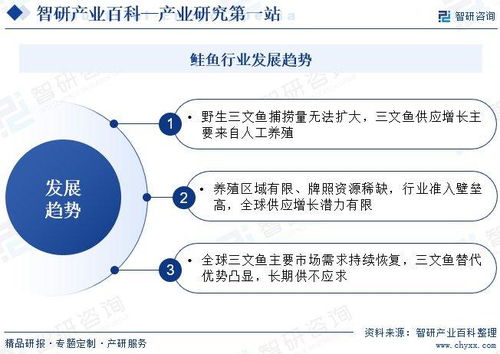 中國鮭魚行業發展現狀、產業全景概覽及投資方向分析